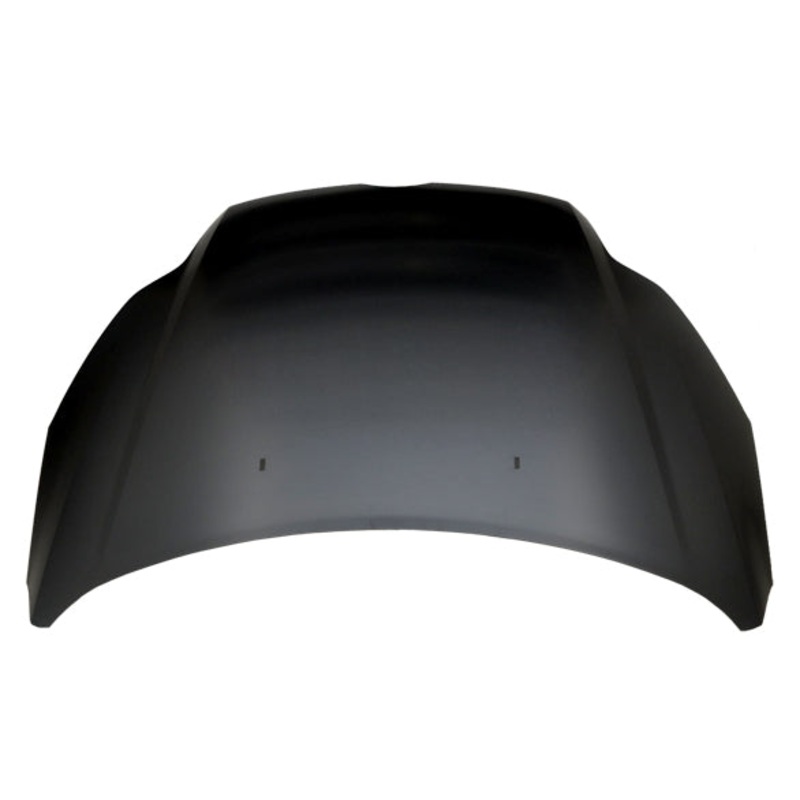 1038 | 2014-2016 BMW 428i LT Front bumper insert F32; STANDARD; Coupe; w/o M Sport; Outer Grille | BM1038194|51117294683